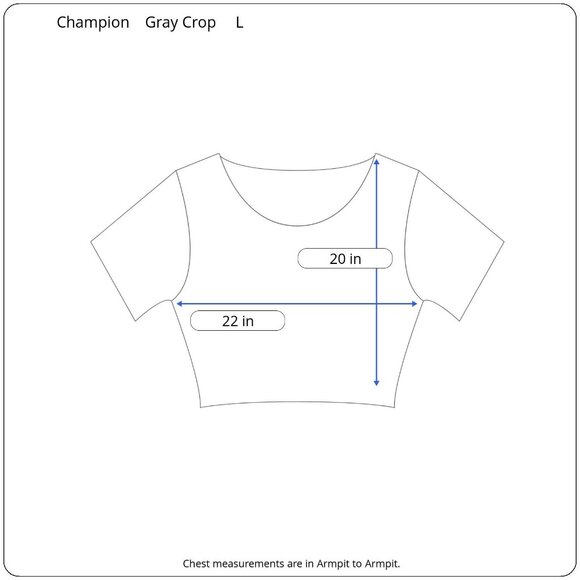 Champion Women's L Grey Graphic Crop T-Shirt Size M Athleisure Casual Workout - Picture 2 of 8